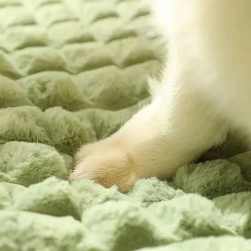 Orthopedic Memory Foam Pet Bed